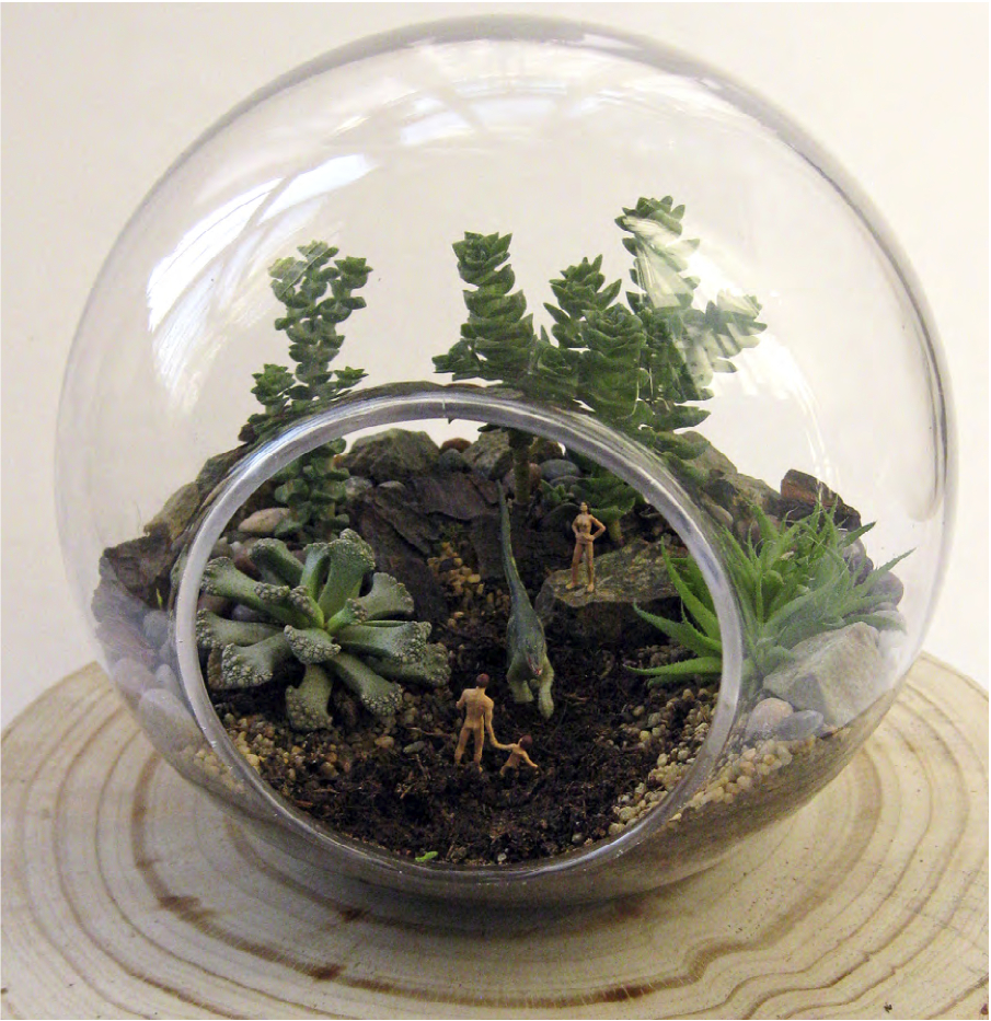 Los terrarios de Constanza Rodríguez - Depto51 Blog