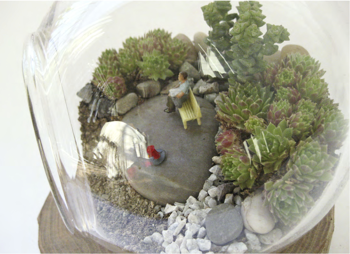 Los terrarios de Constanza Rodríguez - Depto51 Blog